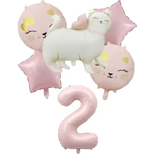 Pembe Kedi Folyolu Yaş Balon Set