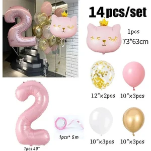Pembe Kedi Rakamlı Yaş Balon Set