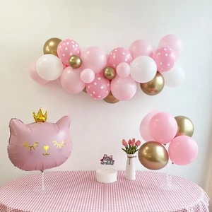 Pembe Kedi Folyolu Balon Seti