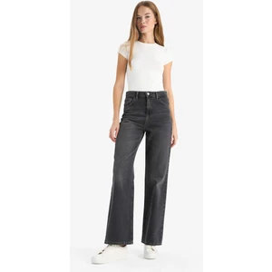 90's Wide Leg Yüksek Bel Uzun Jean Pantolon F2943AX25WN
