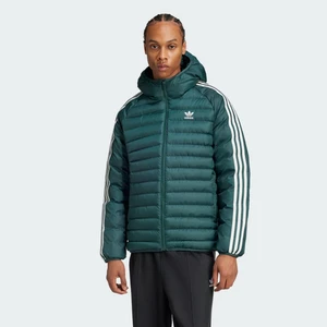 Adidas Originals IY6496 Synthetic Hooded Jacket