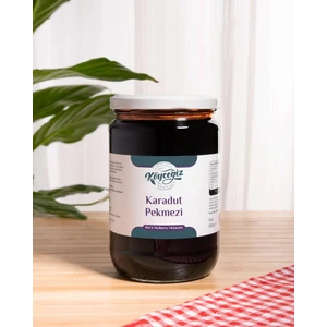 Köyceğiz Balı Yöresel Karadut Pekmezi 800 gr Cam Kavanoz