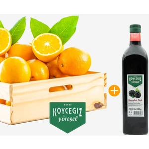 Kb Köyceğiz Yöresel Köyceğiz Portakalı 4 kg + Köyceğiz Yöresel Karadut Özü 1 kg