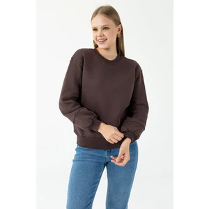 Kadın Bisiklet Yaka Kol Parçalı 3ip Şardonlu Sweatshirt Kahverengi - 2513