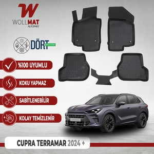 Cupra Terramar Paspas 2024 Sonrası 3D Havuzlu Paspas Seti