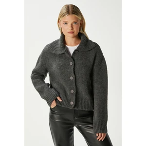 Kadın Lean Yumuşak Doku Polo Yaka Antrasit Basic Triko Hırka HI00179