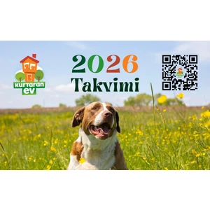 Kurtaran Ev 2026 Masa Takvimi