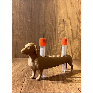 Köpek Laboratuvar ve Kan Tüpü Standı