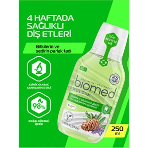 Well Gum Ağız Bakım Suyu Antibakteriyel Etkiyle 250 ml Doğal Anason ve Karanfil Aromalı