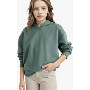Kız Çocuk Relax Fit Kapüşonlu Basic Düz Sweatshirt
