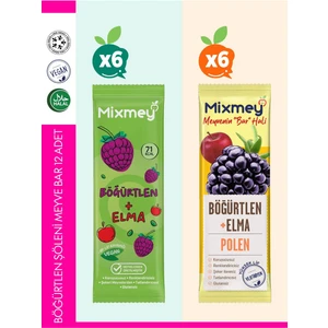 Böğürtlen Şöleni Meyve Barı – 12 Adet | Sağlıklı Atıştırmalıklar – Glutensiz, Koruyucusuz -12 Adet