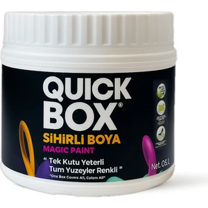 ÜNLÜ BOYA Quickbox Dönüşüm Boyası 0,5 L