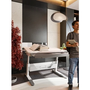 Creo Mobili Sirius Standart Fonksiyonel Genç Odası Masası Çekmeceli, Yükseklik Ayarlı - 120x75 Cm, Beyaz/Gri