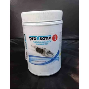 Partikül & Katalizör Temizleme Tozu 1 kg