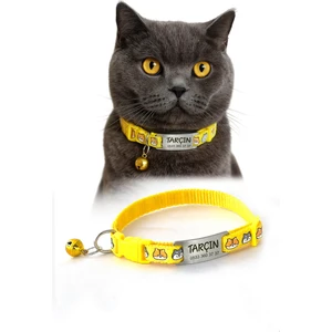 Sallanmayan Tasma Künye Isimli Kedi Tasması