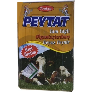 Teneke Beyaz Peynir | 18 kg Net (20 kg Brüt)