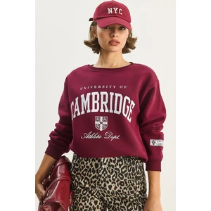 Kadın Bisiklet Yaka Baskılı Üç Iplik Şardonlu Basic Sweatshirt