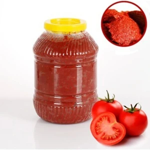Domates Salçası 1 kg