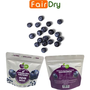 Fairdry Yaban Mersini, Freeze Dried, Dondurularak Kurutulmuş, Meyve Kurusu, Katkısız, Meyve Cipsi