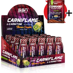 SSN Sports Style Nutrition Ssn Carniflame 3000 Mg 20 Ampul Kivi