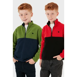 Yumuşak Dokulu Yarım Fermuarlı Renk Bloklu Dik Yaka 2'li Paket Polar Çocuk Polar 5905004S2