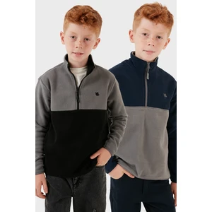 Yumuşak Dokulu Yarım Fermuarlı Renk Bloklu Dik Yaka 2'li Paket Polar Çocuk Polar 5905004S2