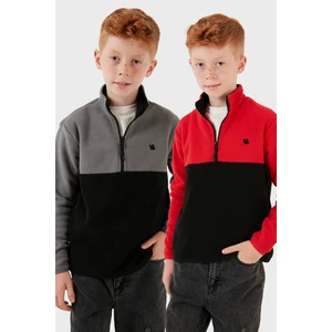 Yumuşak Dokulu Yarım Fermuarlı Renk Bloklu Dik Yaka 2'li Paket Polar Çocuk Polar 5905004S2