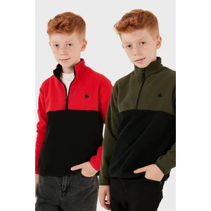 Yumuşak Dokulu Yarım Fermuarlı Renk Bloklu Dik Yaka 2'li Paket Polar Çocuk Polar 5905004S2