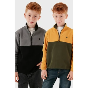 Yumuşak Dokulu Yarım Fermuarlı Renk Bloklu Dik Yaka 2'li Paket Polar Çocuk Polar 5905004S2