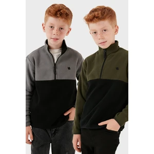 Yumuşak Dokulu Yarım Fermuarlı Renk Bloklu Dik Yaka 2'li Paket Polar Çocuk Polar 5905004S2