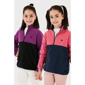 Yumuşak Dokulu Yarım Fermuarlı Renk Bloklu Dik Yaka 2'li Paket Polar Çocuk Polar 5905004S2