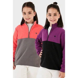 Yumuşak Dokulu Yarım Fermuarlı Renk Bloklu Dik Yaka 2'li Paket Polar Çocuk Polar 5905004S2