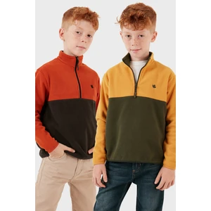 Yumuşak Dokulu Yarım Fermuarlı Renk Bloklu Dik Yaka 2'li Paket Polar Çocuk Polar 5905004S2