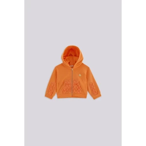 Bg Store Kız Bebek Eşofman Üstü