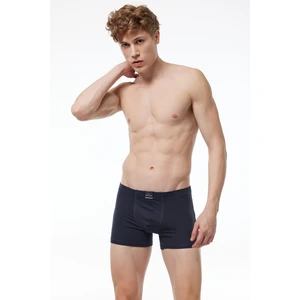 Erkek Füme Premium Collection Modal Boxer 251