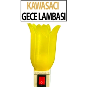 Kendinden Fişli Gece Lambası 7 W