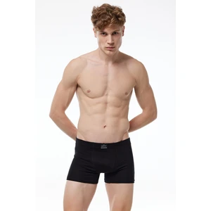 Erkek Siyah Premium Collection Modal Boxer 251