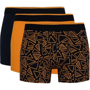 Regular Fit Baskılı 3'lü Boxer B7182AX24AU