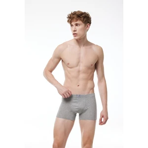 Erkek Gri Premium Collection Modal Boxer 251