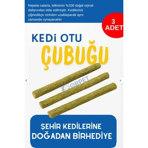 Doğal Kedi Otu Nanesi Çubuğu 3’lü | Çiğneme & Sakinleştirici Diş Temizleyici Stick |