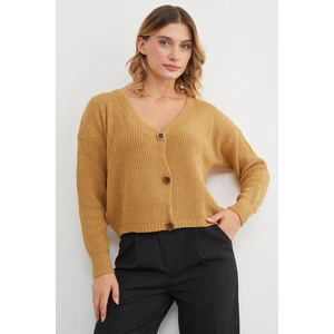 Düğmeli V Yaka Triko Hırka