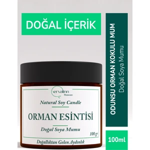 Odunsu Orman Kokulu Doğal Soya Mumu 100 gr+DUDAK BALSAMI HEDİYE