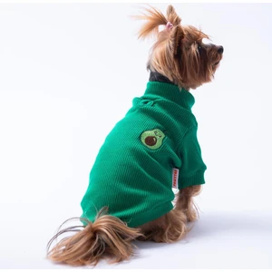 Yeşil Avocado Avokado Nakışlı Esnek Kedi Köpek Sweat- Kedi Köpek Kıyafeti