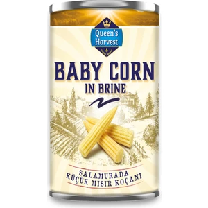 Bebek Mısır Koçanı (11+) 410 gr