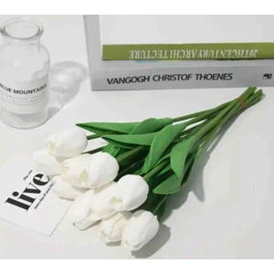 Yapay Islak Lale 10lu
