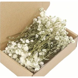 Kuru Çiçek Şoklanmış Mini Cipso Buketleri (50 Dal)