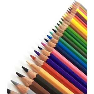 CRAFT and ARTS Kuru Boya 24+4 Renk Parlak ve Canlı Renkler Tam Boy Kalem Seti