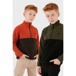 Yumuşak Dokulu Yarım Fermuarlı Renk Bloklu Dik Yaka 2'li Paket Polar Çocuk Polar 5905004S2