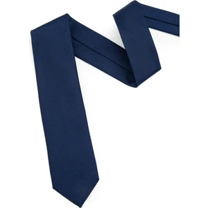 Pierre Cardin Erkek Lacivert Kravat 50319249-200