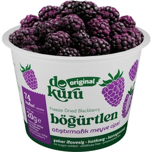 Original Böğürtlen Atıştırmalık Meyve Cipsi - Dondurularak Kurutulmuş Böğürtlen - Freeze Dried Böğürtlen